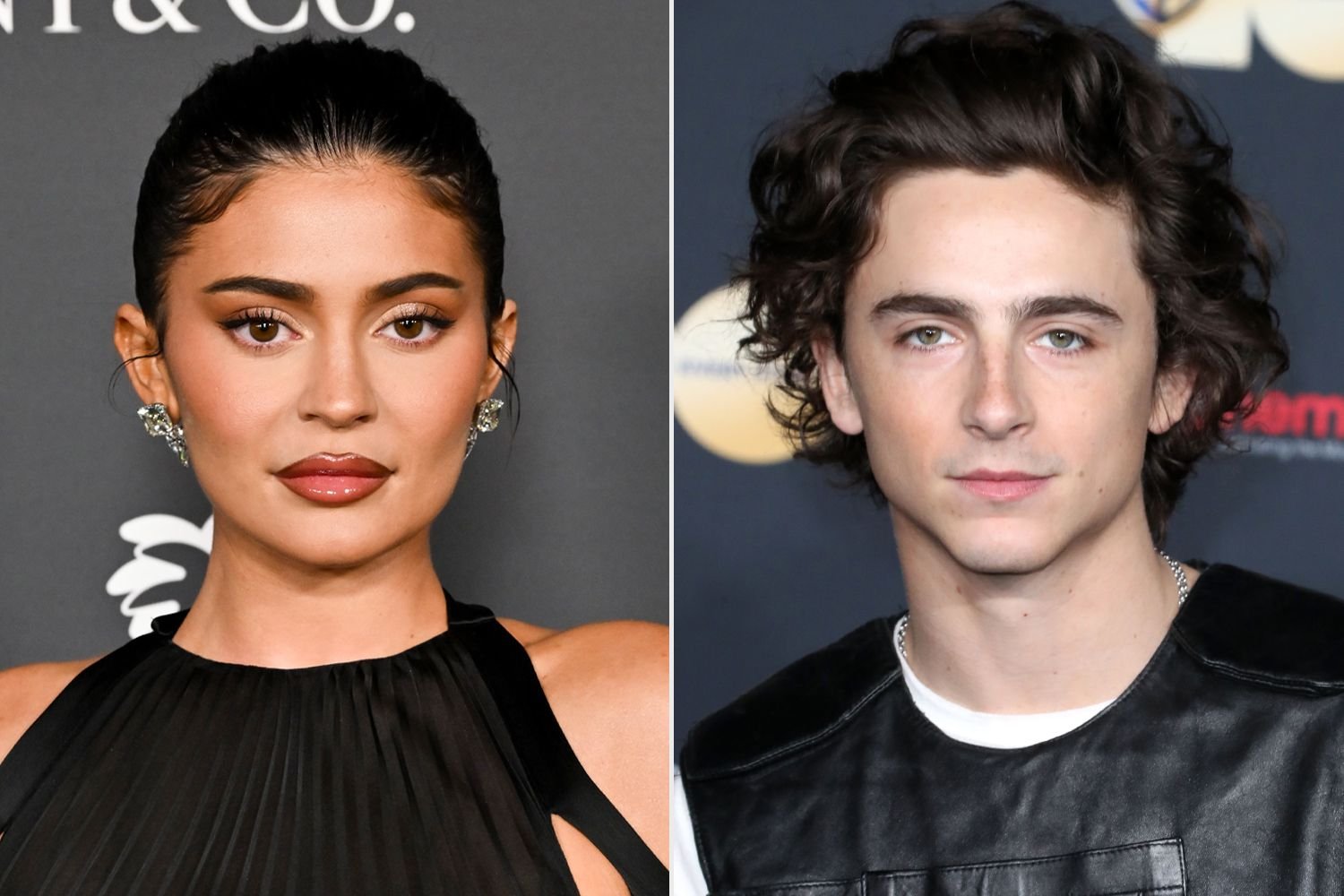 Timothée Chalamet Kylie Jenner